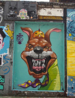 Dog in the Street