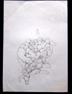 Deso Sketch-Grapes