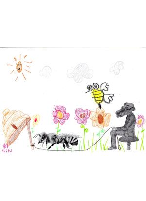 Bee Trap